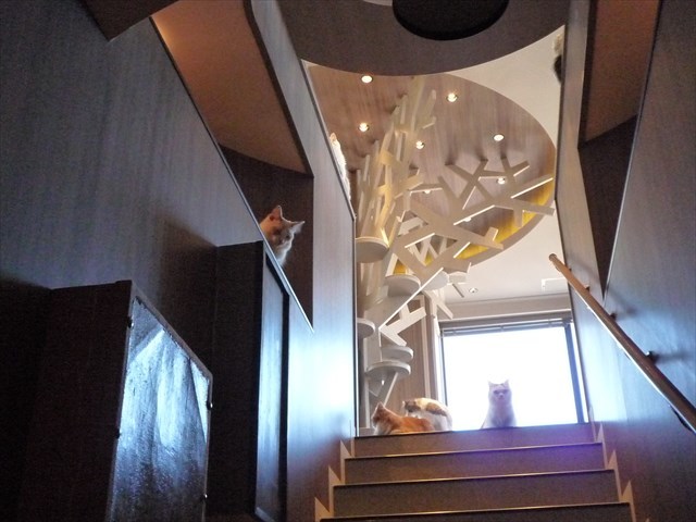 b0287088_16493350.jpg