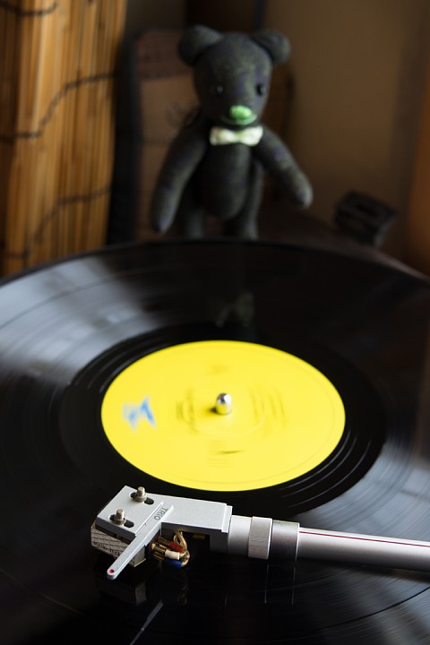 \"My Funny Valentine\"なテディベア_d0353489_1555364.jpg