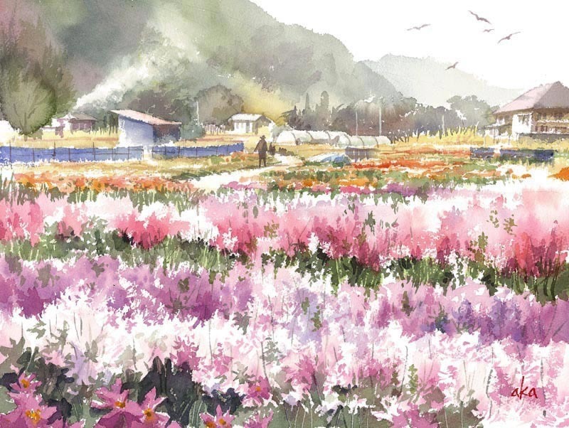 千倉 白間津(しらまづ）の花畑 : 赤坂孝史の水彩画 AKASAKA TAKASHI 