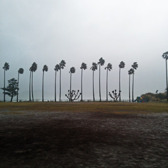 今朝の激しい風と雨_c0195909_10205114.jpg