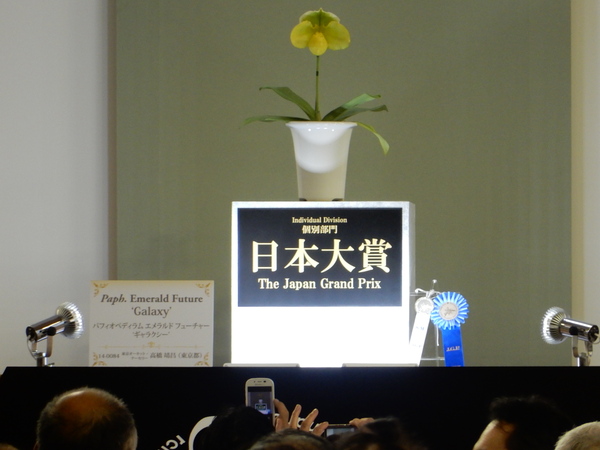 世界らん展日本大賞16 鑑賞 16 2 14 徳ちゃん便り 世界らん展日本大賞16 鑑賞 16 2 14 徳ちゃん便り
