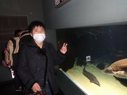 2/12 鳥羽水族館_a0154110_14235111.jpg