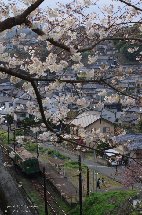 ラストラン青ガエル_d0309612_0525549.jpg