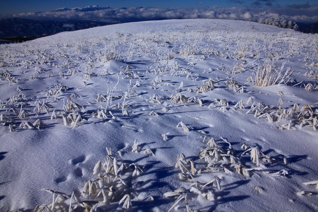 ♪　霧が峰　白い世界　♪_e0242721_8203914.jpg