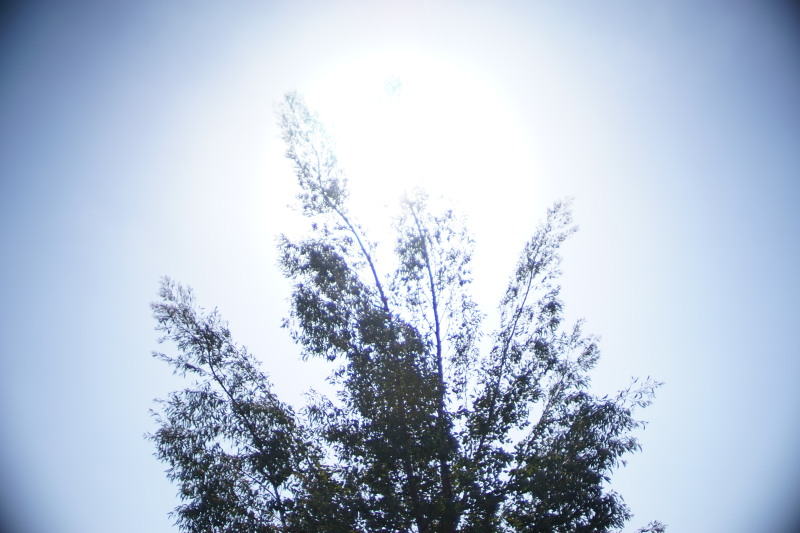 c0109827_1753452.jpg
