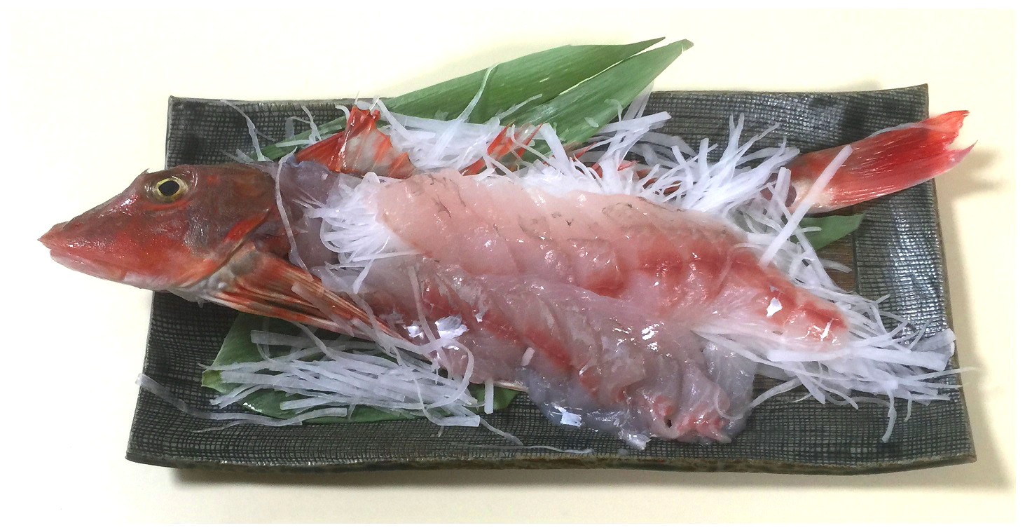 ほうぼう料理 新 直哉の釣り魚料理