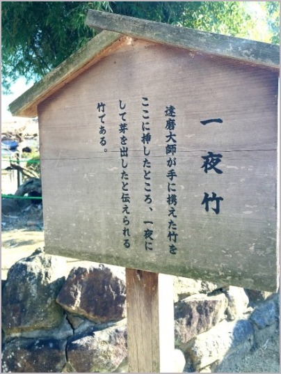 d0017632_22322157.jpeg