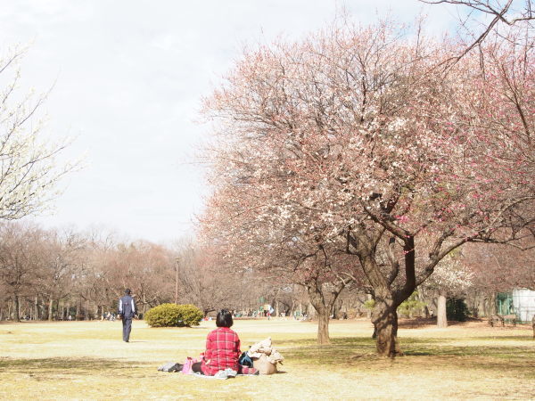 春の陽気に誘われて　＊野川公園_f0353034_08525490.jpg