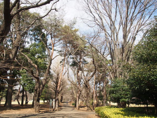 春の陽気に誘われて　＊野川公園_f0353034_08531813.jpg