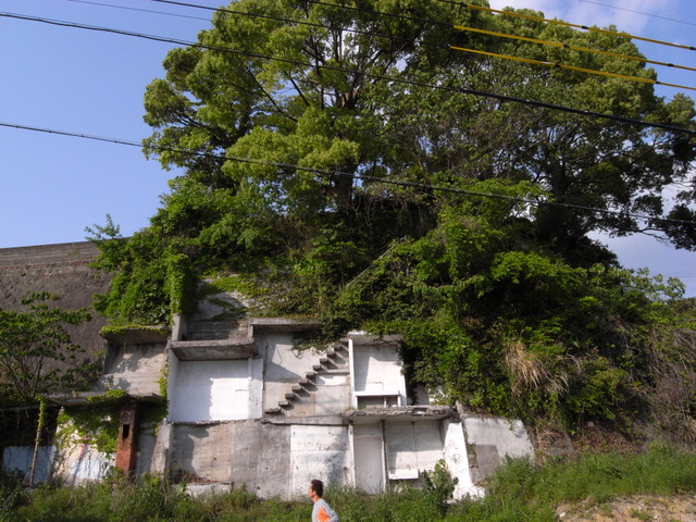 b0075140_17658.jpg