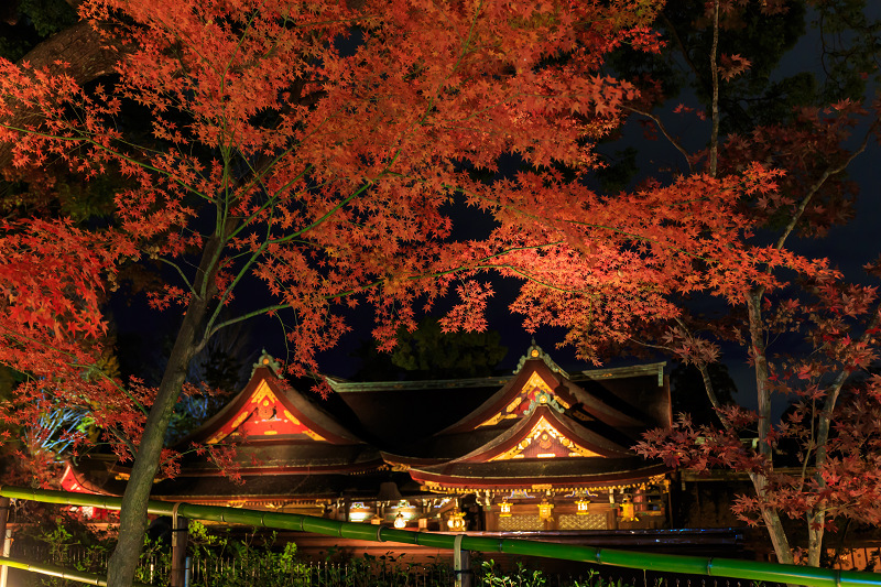 京都の紅葉2015・御土居の紅葉ライトアップ（北野天満宮）_f0155048_2250546.jpg