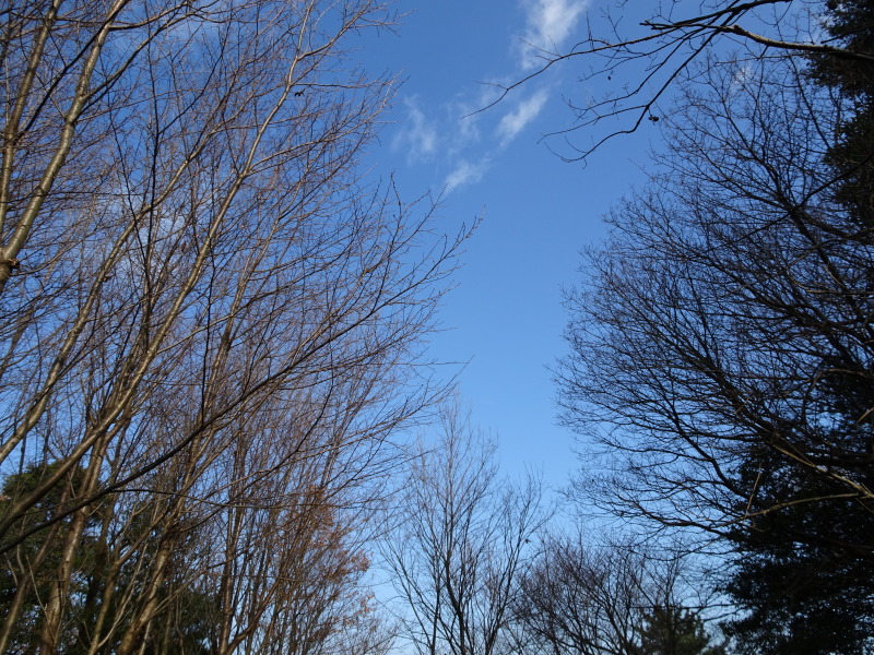 c0108460_22011261.jpg