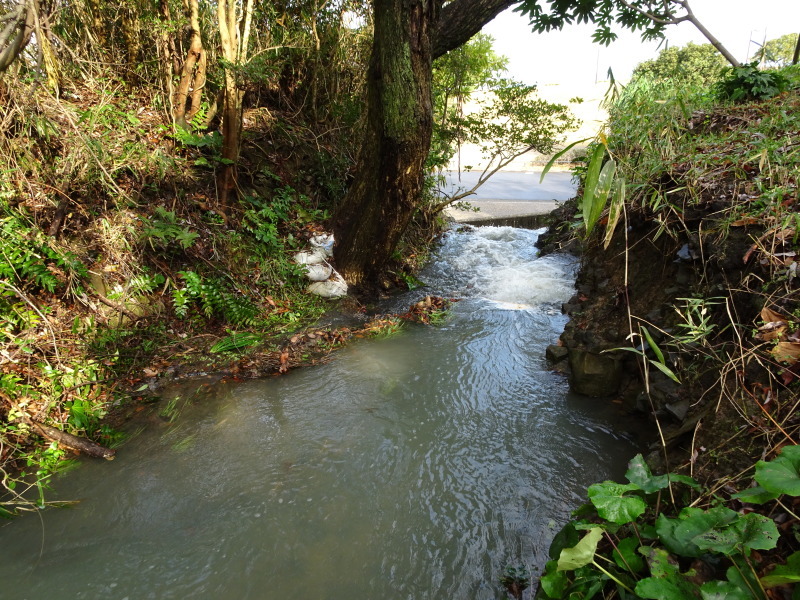 c0108460_22110246.jpg