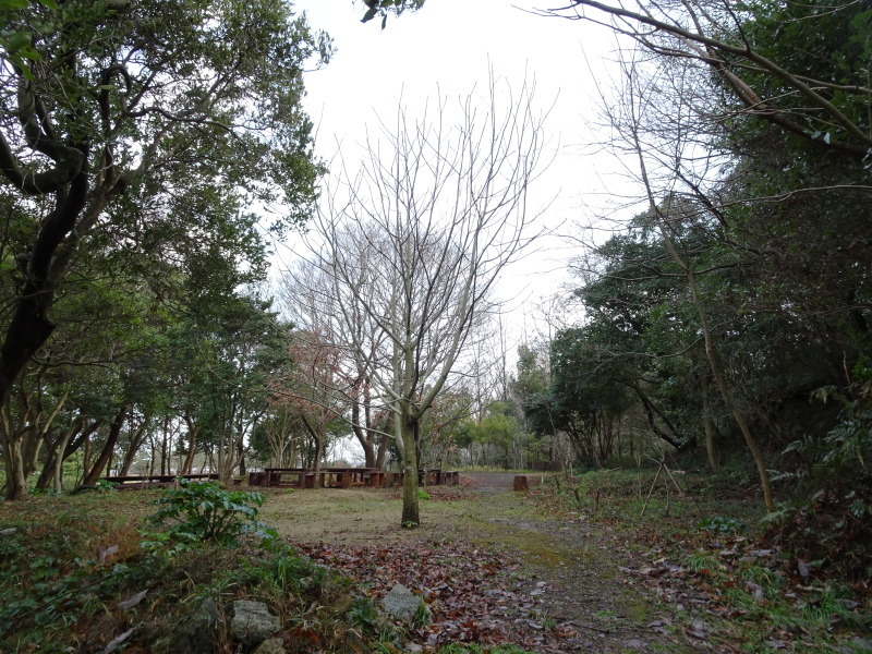 c0108460_22111166.jpg
