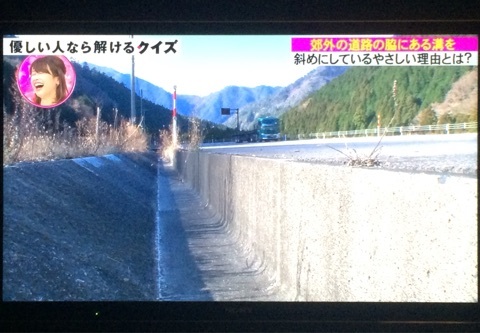 クイズやさしいね に和む 心理カウンセラー 郷家あかりの日記