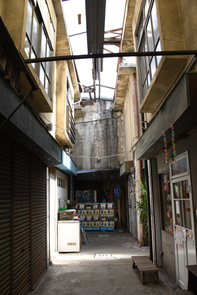 e0171573_2204292.jpg