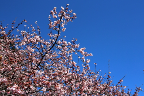 c0210275_17131412.jpg