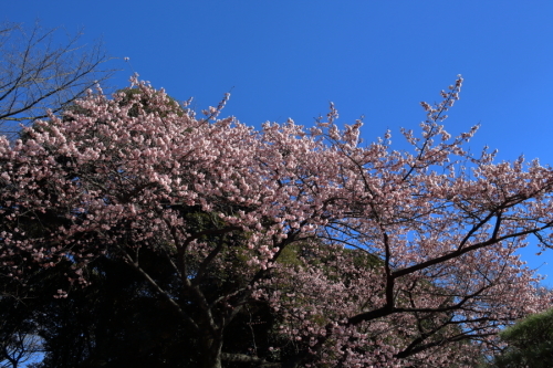 c0210275_17131554.jpg