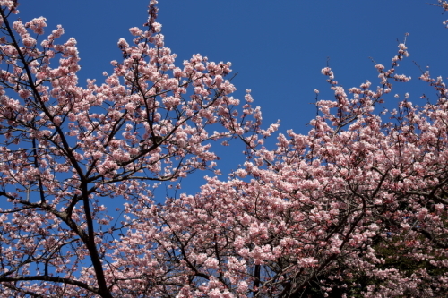 c0210275_17131556.jpg