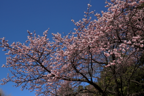 c0210275_17131577.jpg
