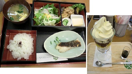 仲間ワンでランチ＆お散歩_e0023790_20504731.jpg