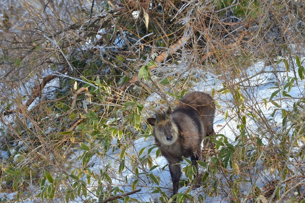 もう少し、氷の山を_d0164892_21174971.jpeg