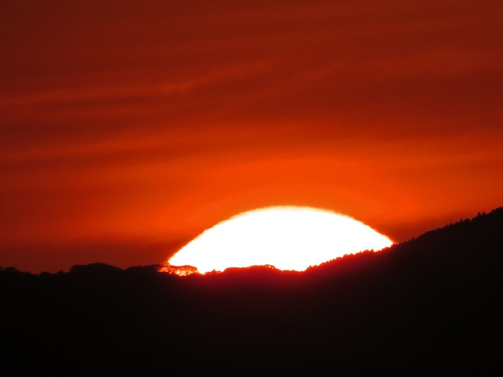 c0049299_2249468.jpg