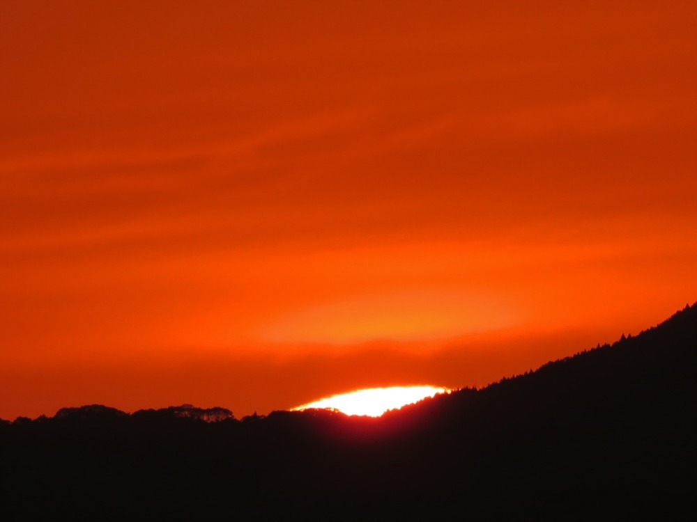 c0049299_22505149.jpg