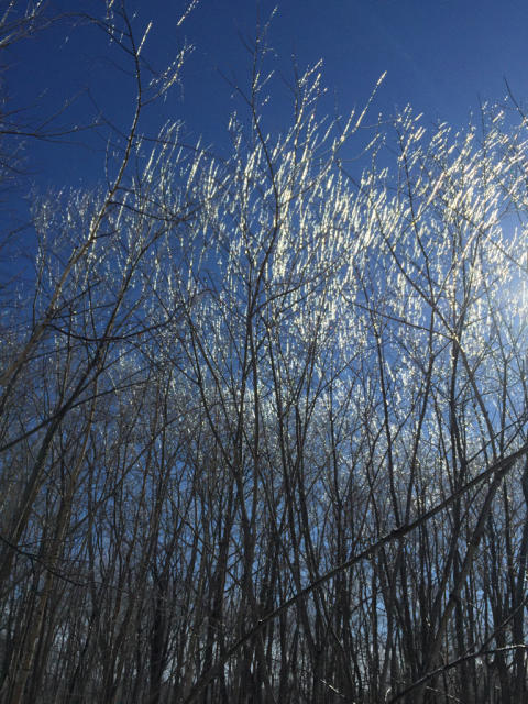 b0038402_17521738.jpg