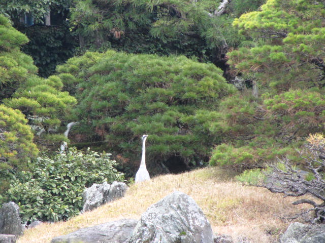 a0100706_2205163.jpg