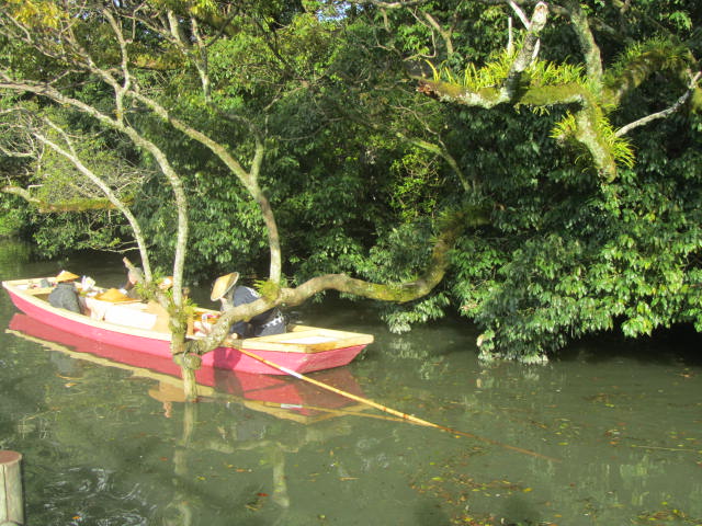 a0100706_295389.jpg