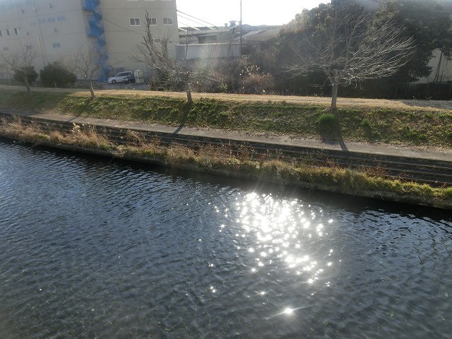 みどりが芽吹く 春を迎える滝川の土手_f0141310_7423745.jpg