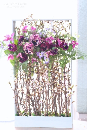 SAKURA Drops 桜ドロップス_a0157813_01161441.jpg