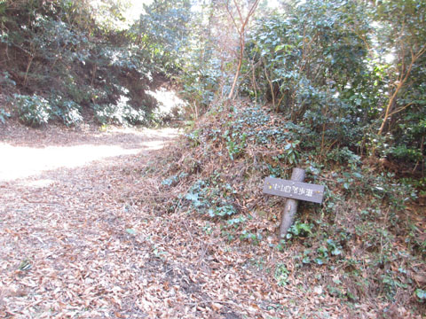 e0293913_16533363.jpg