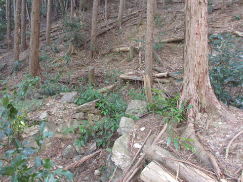 e0293913_16574824.jpg