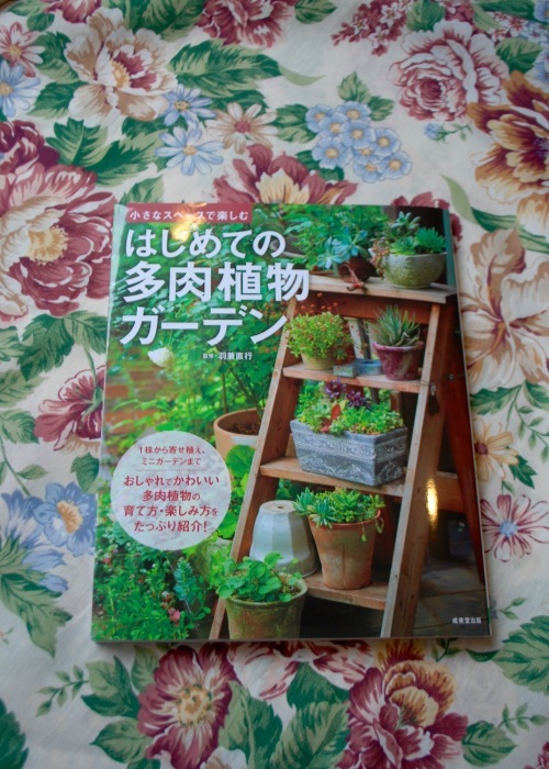 はじめての多肉植物ガーデン_a0113920_22401462.jpg