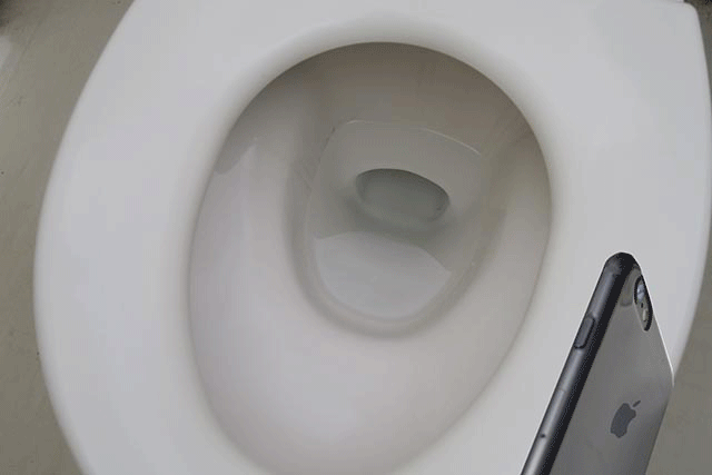 f0174521_233324.gif