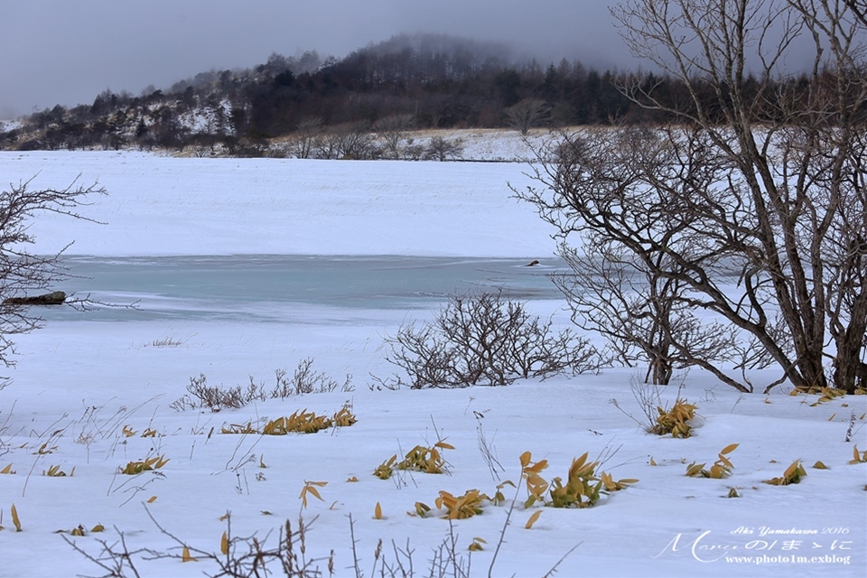 まゝに/雪山シリーズ22/解氷_d0342426_20052807.jpg