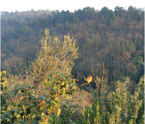 f0178334_2313385.jpg