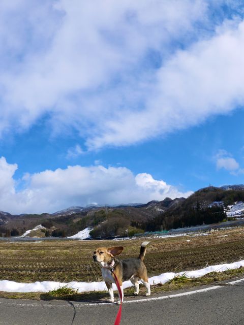 飼い主の休日_c0190940_1659335.jpg