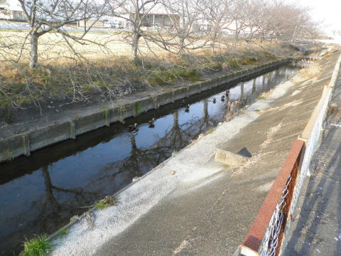 f0212142_06172337.jpg