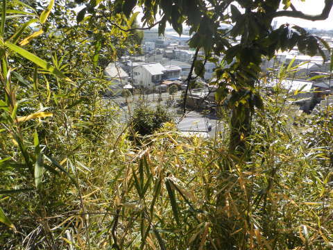 f0212142_06324073.jpg