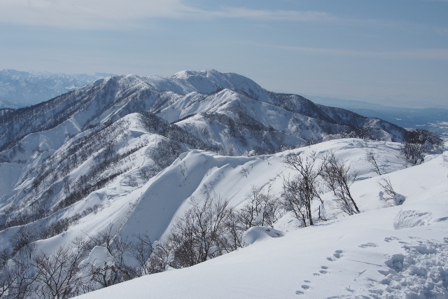 b0189948_2344984.jpg