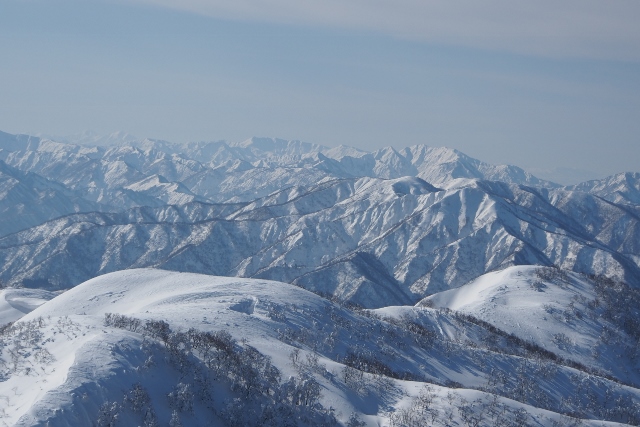 b0189948_2361258.jpg