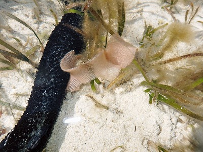 c0180460_07951.jpg