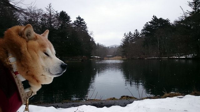 b0274270_13131439.jpg