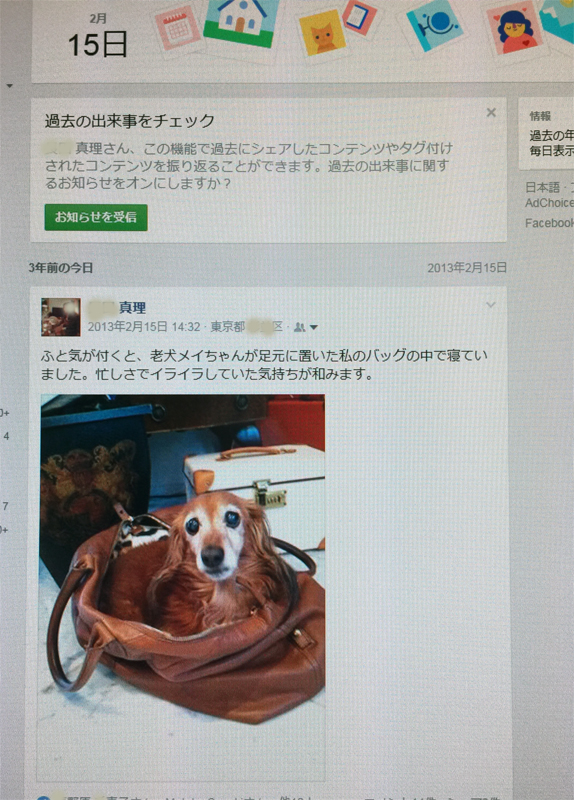 FBのおかげです... 我家の老犬の写真_b0154385_1842939.jpg