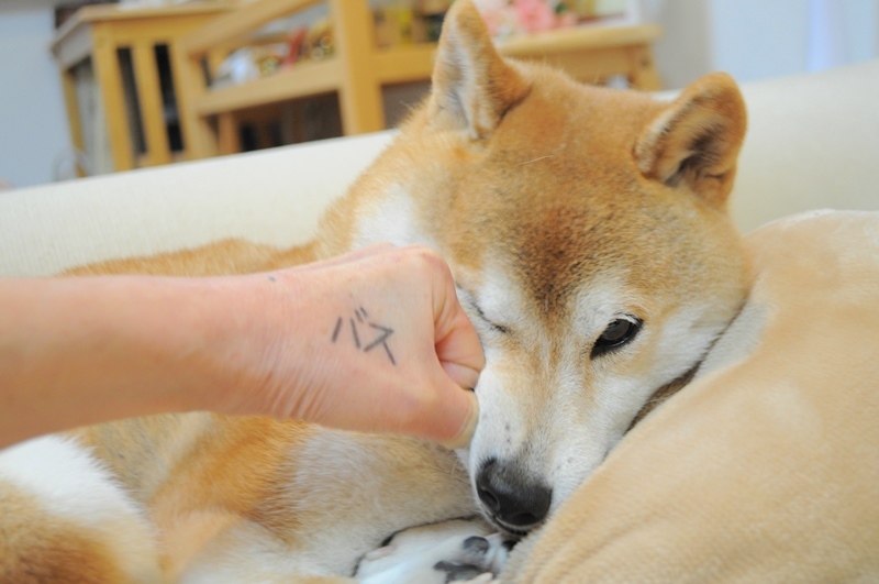 冷や汗_a0126590_22065992.jpg