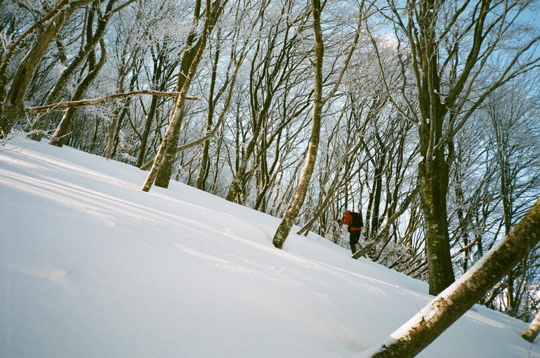 銀杏峰　2016.2.11_b0251410_08580245.jpg