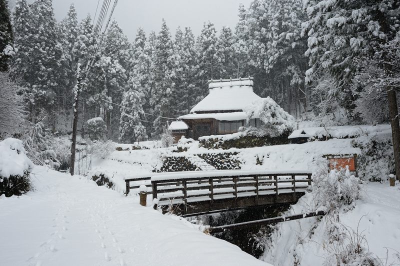 雪を求めて北へ!!!＠美山　茅葺きの里･其の二_f0032011_1938133.jpg